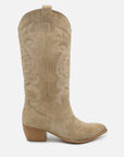TEXAS TEXANI