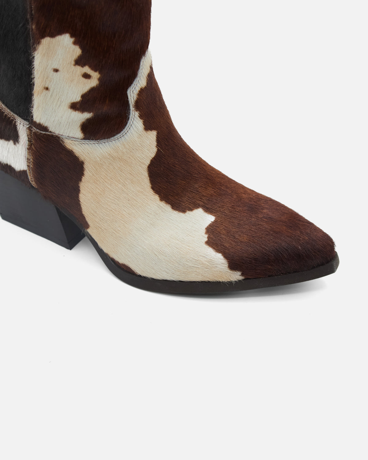 SASSY TEXANI ★ CAVALLINO